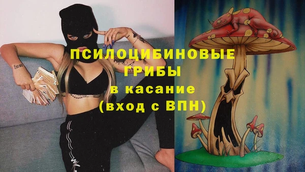 кристаллы Ельня