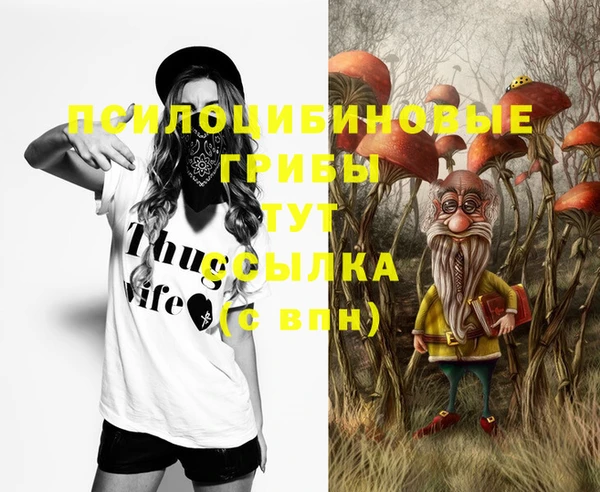 кристаллы Ельня